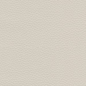 Painel Decorativo Dolar Vapor