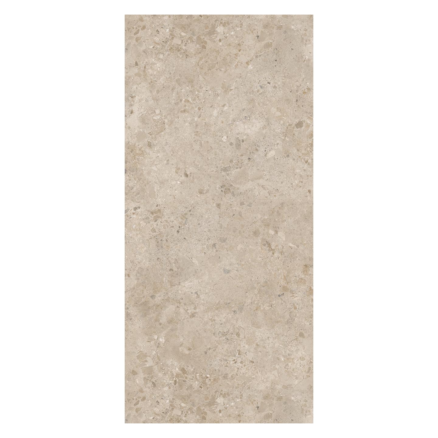 RWP120260TERT-TERRAZZO-TAUPE_RUBICER-03